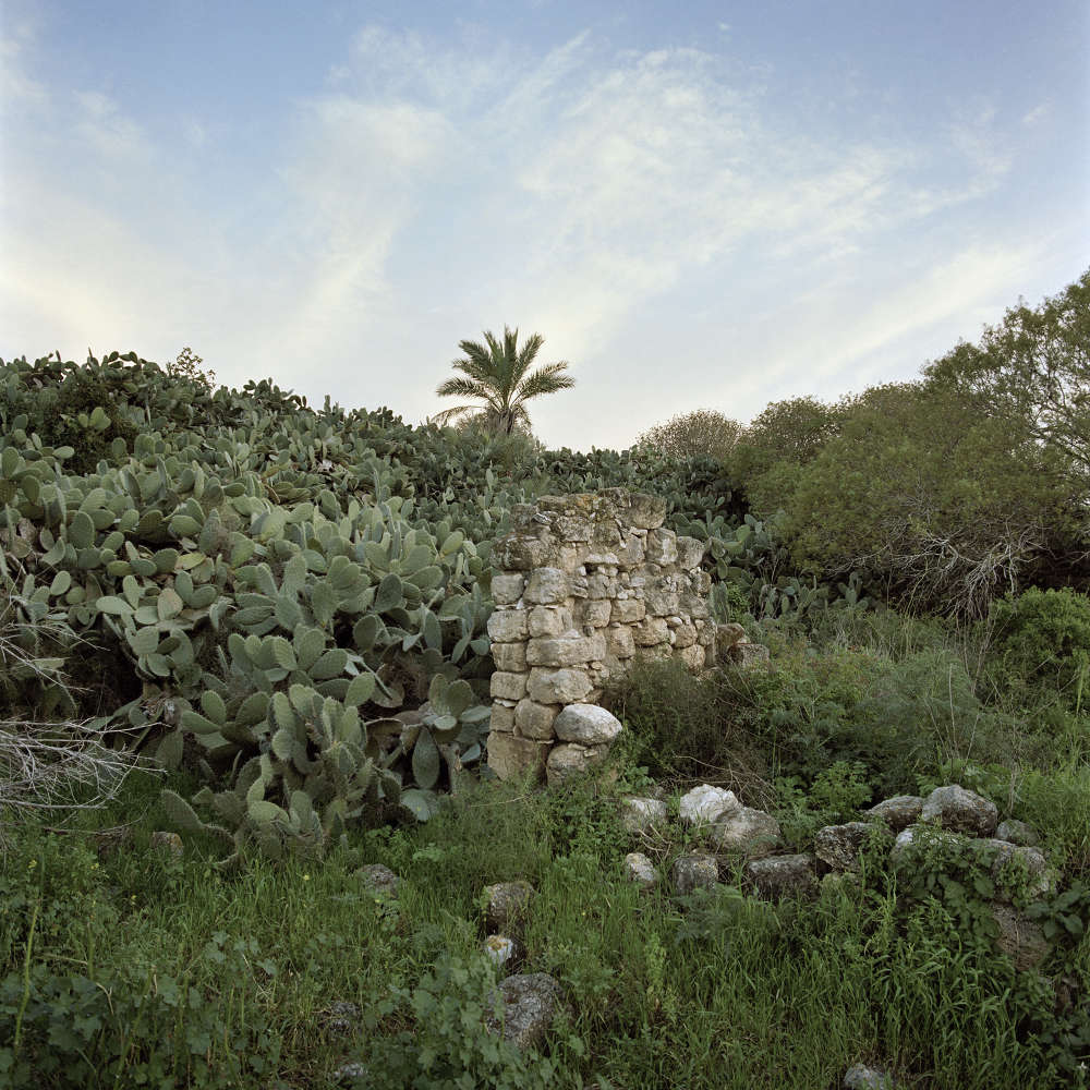 Hawsha 32°47’33”N 35°08’37” E – 04.1948 Hawsha was a Palestinian village located 13 kilometers east of Haifa. In 1945, it had a population of 580 inhabitants, 400 of whom were Arab Muslims and 180 of whom were Jewish. Hawsha was depopulated on April 16, 1948, during the war, as part of the Battle of Ramat Yohanan, when the Haganah fought against the Arab Liberation Army. The Arab inhabitants who remained in the village following its defeat were evicted, as were those of neighboring villages. Photo by Bruno Fert.