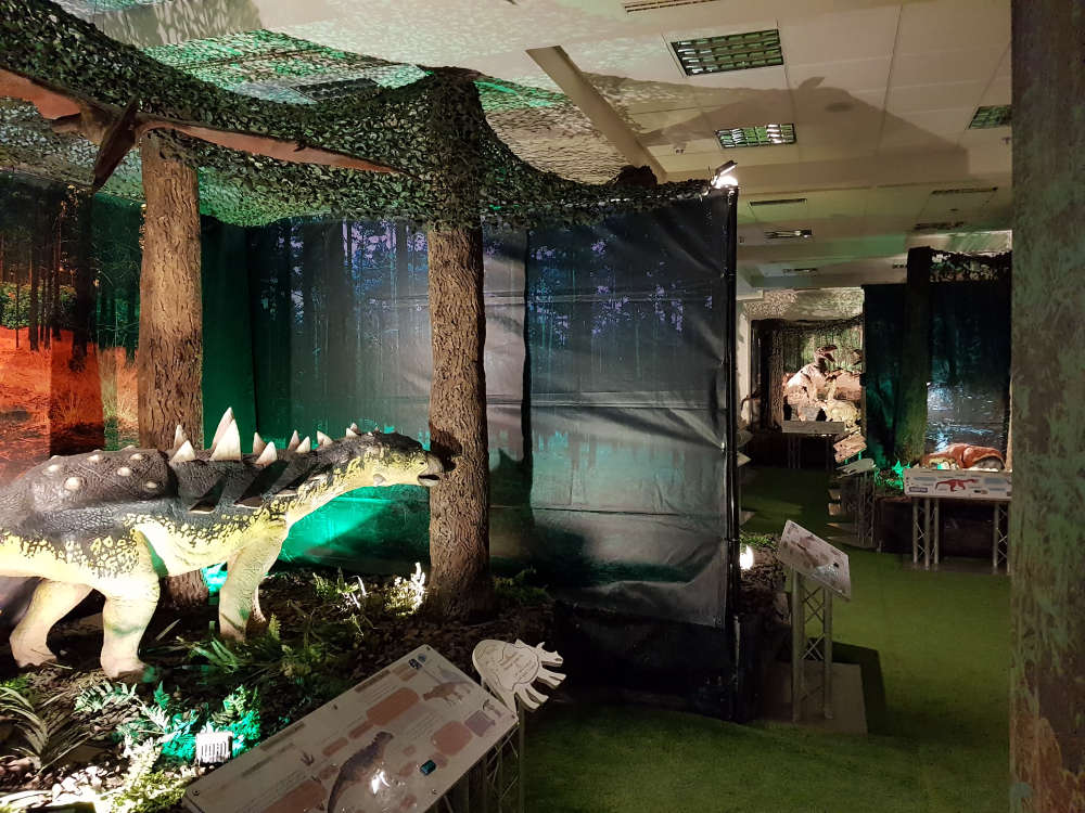 Dinosaurs and Giant Insects Exhibitions / Childrens Natural History Museum