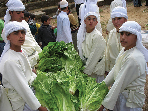 Artas-Lettuce-Festival