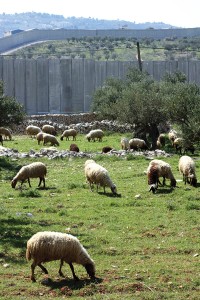 Facts-on-the-Ground-1