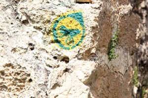 Palestinian-Springs-3