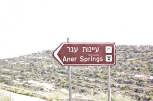 Palestinian-Springs-4