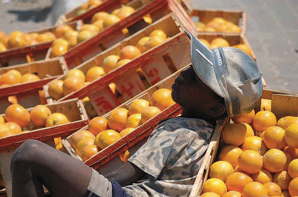 Gaza was once famous for its orange orchards that used to be a major source of income through export.