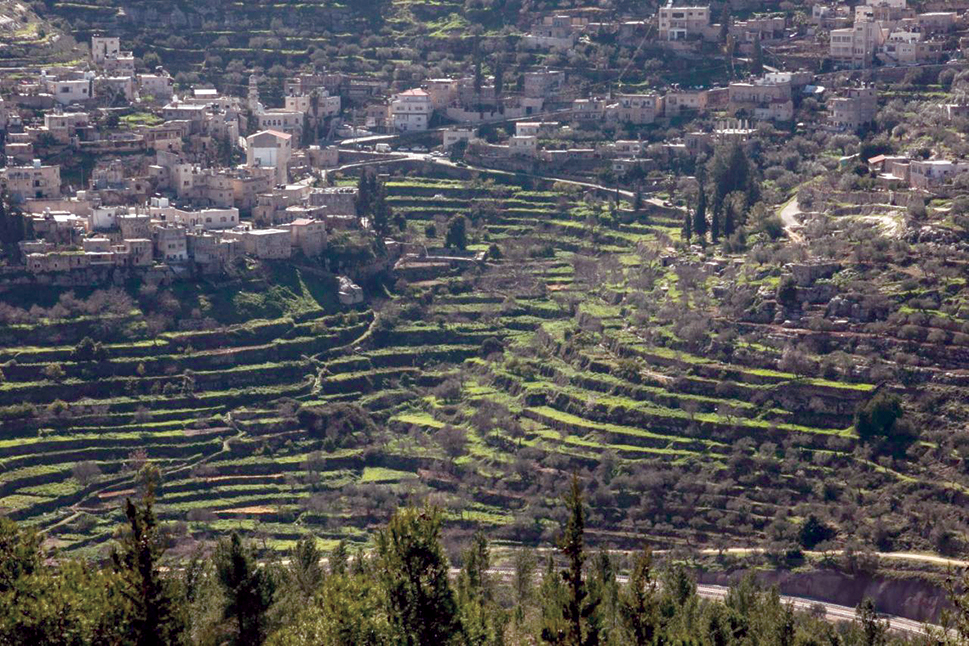 Battir village and ancient terraced landscape.