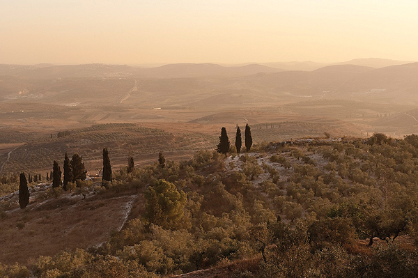Photo by Palestine Image Bank.