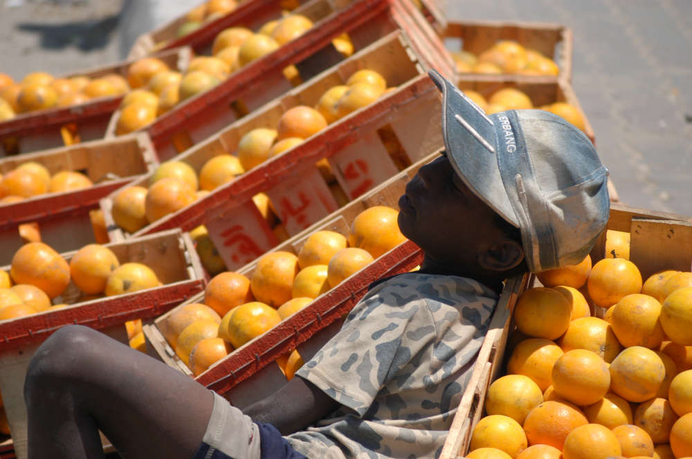 Young boy selling citrus fruits in Gaza. Thirty-eight percent of young people (15-29 years old) are enrolled in educational institutions. The total dropout rate (those who left school before completing their education) among youth from 15 to 29 years old was 34 percent (42 percent for males and 27 percent for females). PCBS, 12 August 2017. © UNDP/PAPP - Shareef Sarhan