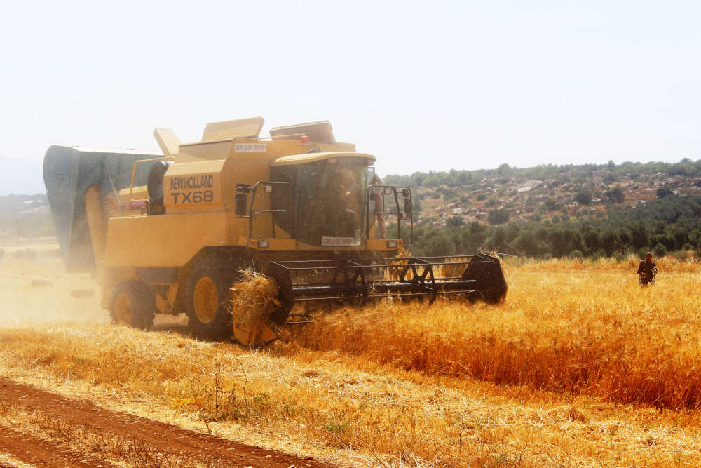 A combine harvester in the wheat lands of Silet El-Harthieh in Jenin Governorate.