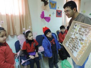 Object-based learning on butterflies for kindergarteners.