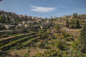 The beautiful village of Battir near Bethlehem. Photo by Firas Jarrar.